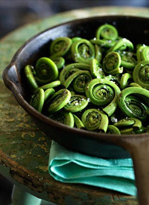 fiddlehead in pan